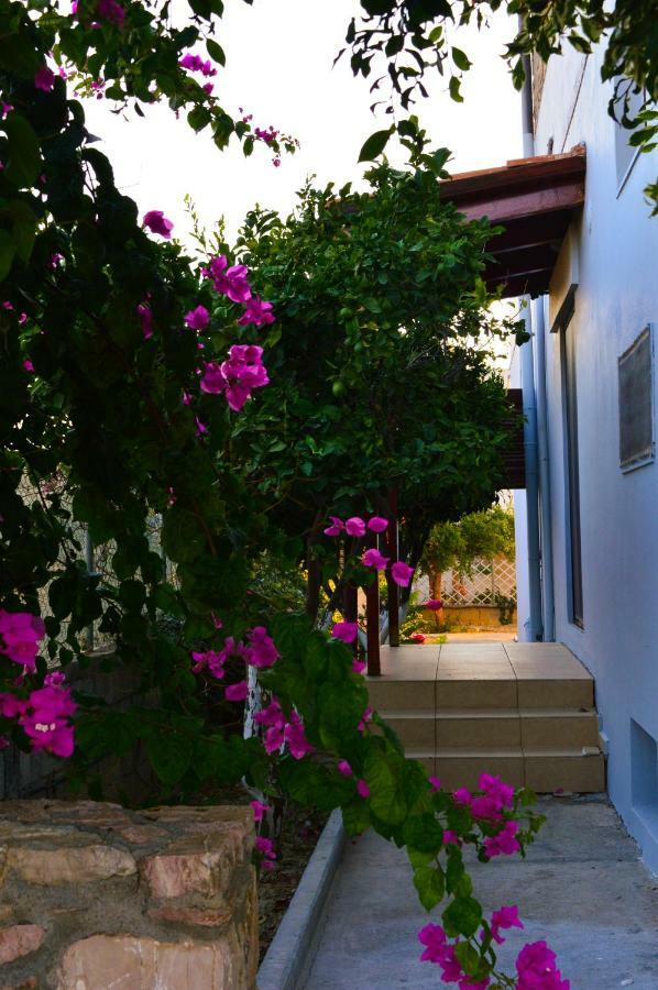 United Blue Resorts - White Sand Καρτερός Εξωτερικό φωτογραφία